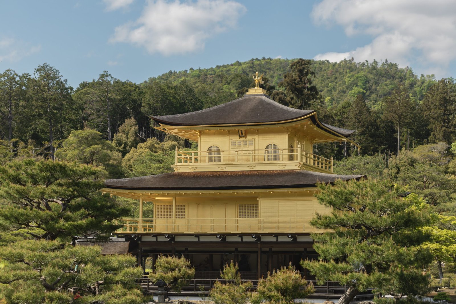PABELLON DORADO DE KIOTO